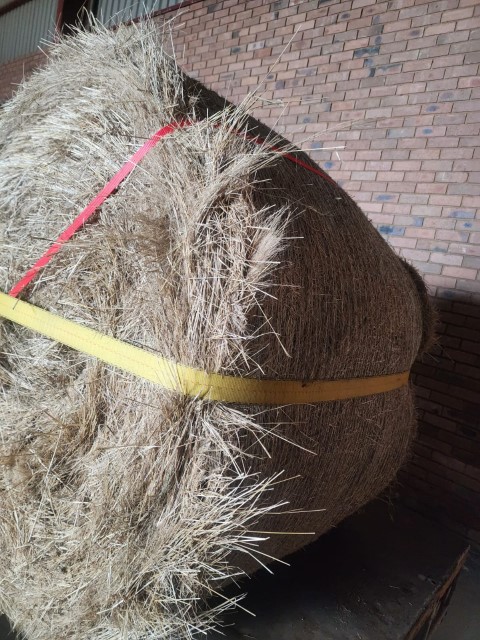 Teff 1.3m rolls