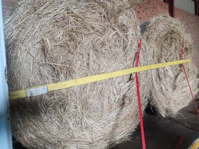 Teff 1.2m rolls (Full Load - 70 bales)
